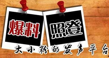台北最新爆料新闻,最新事件引发社会热议