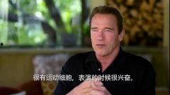 阿诺最新爆料视频大全在线观看,揭秘幕后真相，精彩瞬间不容错过
