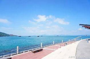 深圳南澳最新爆料,揭秘神秘爆料背后的精彩故事