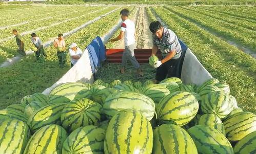 网红吃瓜最新爆料图片,揭秘娱乐圈惊人内幕！
